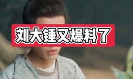 刘大锤周二爆料了吗视频